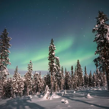 Lapland Glow Chalets Отель