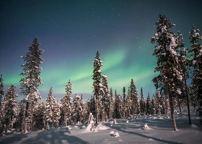 Lapland Glow Chalets Hotell